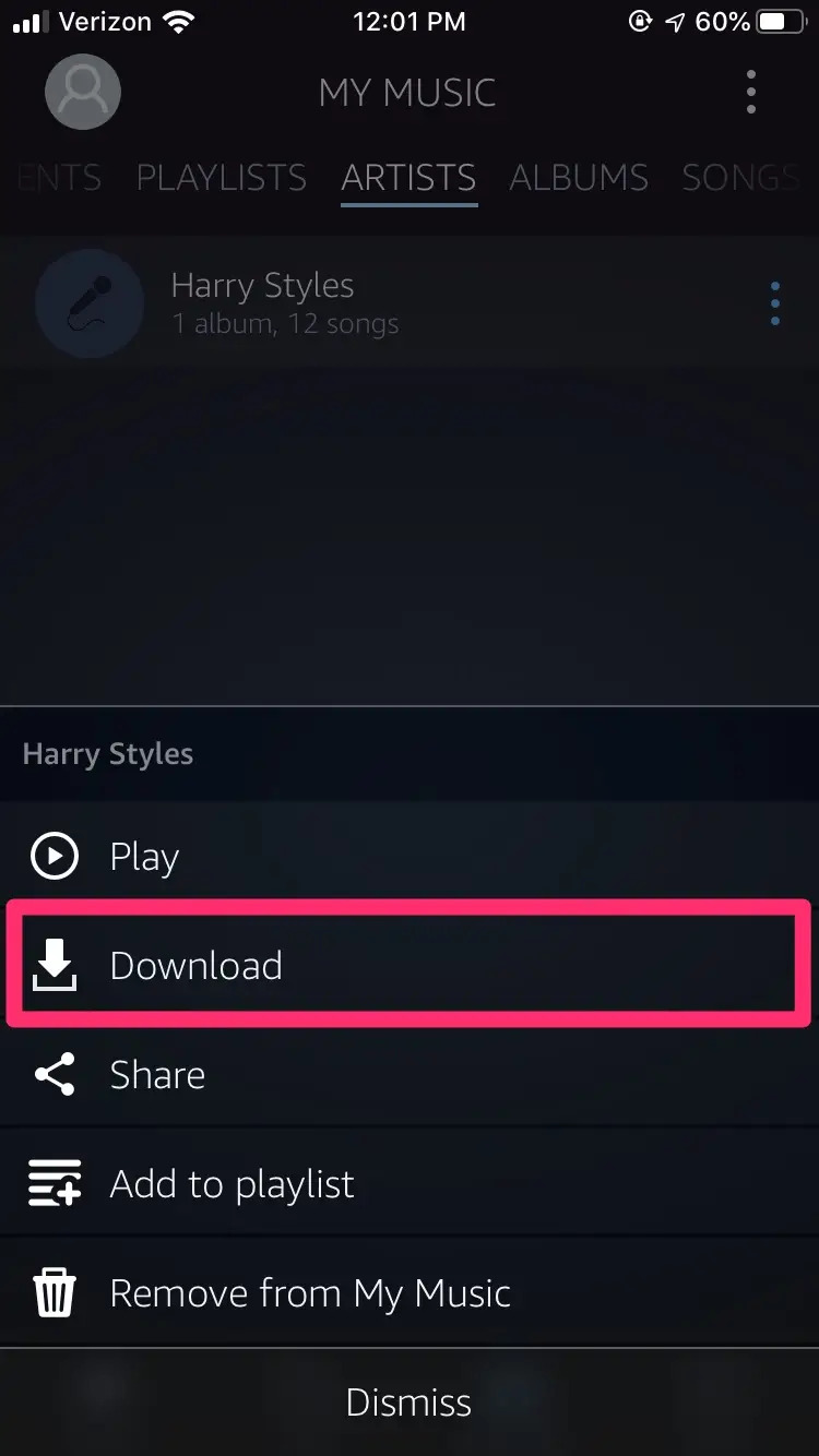 Where Does The Purchased Amazon Music Download to on Mobile Devices